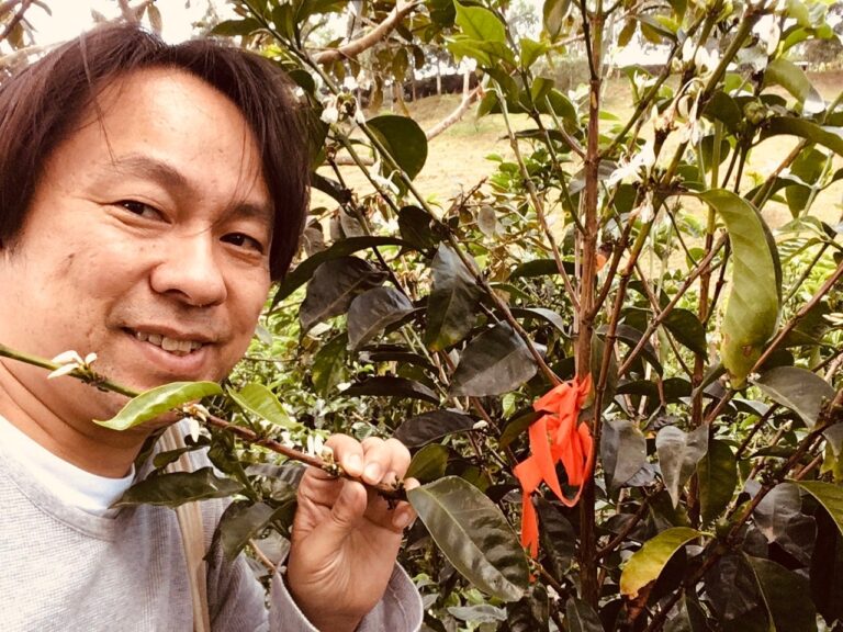 サザコーヒーの鈴木太郎とコーヒーの木。コロンビアのコーヒー農園で８万本の芸者の木を植えており、その中で特別美味しいコーヒーの実を生らす木にオレンジ色のテープをくくりつけている。