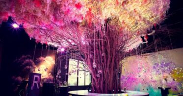 ネイキッド のNFTニュース|NAKEDを代表する桜のアート「桜彩 OUSAI」初のNFTアート化