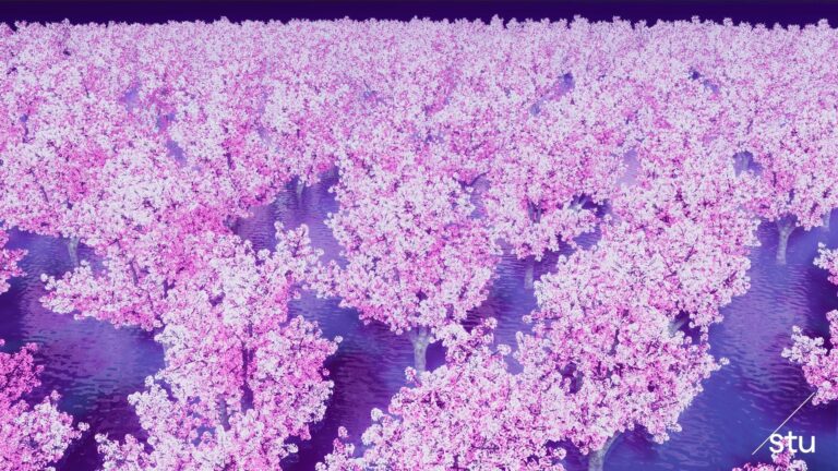 1000本以上の桜の表示