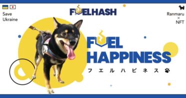 FUELHASH のNFTニュース|NFTで社会貢献「FUELHAPPINESS」プロジェクト第一弾 保護犬らんまるのNFT販売開始！ベリロンコラボも決定！