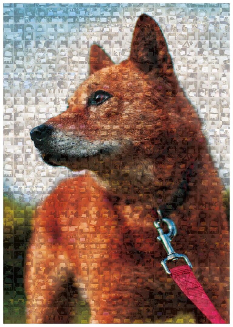 災害救助犬「夢之丞」救われた７千頭のワンコが背景のモチーフとしてデザインされている