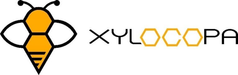 「好きなことで生きていける人を増やす」をMISSIONに、ブロックチェーンを活用してコミュニティ形成を支援する株式会社XYLOCOPAを設立