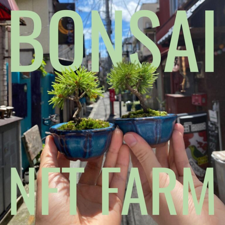 NFTを買うと本物の盆栽が送られてくる「BONSAI NFT CLUB」が、第二弾となる8031体のNFTプロジェクト「BONSAI NFT FARM」を10月18日にリリース