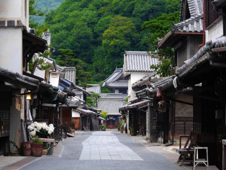 今回開催地となる安芸の小京都「たけはら町並み保存地区」