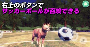 猫のメタバース「ネコデース」にサッカーゴールが登場！ボールもサッカーボールの模様に変更11月5日