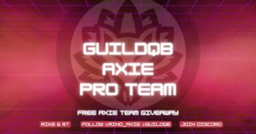 【日本初！】GuildQBはAxieInfinityプロチームを設立へ