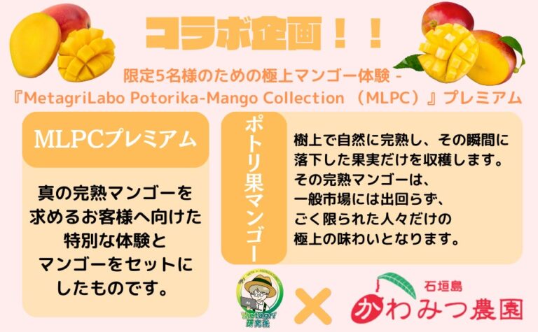 石垣島の極上マンゴーとweb3技術が織り成す新たな体験 ― 『MetagriLabo Potorika-Mango Collection 』プレミアム