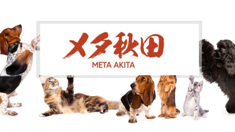 LOOTaDOG、「秋田犬NFT 水害復興支援基金」を設立した株式会社Meta Akitaへ寄付を行わせていただくことをお知らせいたします