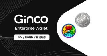 業務用暗号資産ウォレット「Ginco Enterprise Wallet」がMVとRONDに対応