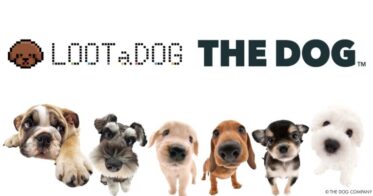 デジタルペットゲーム『LOOTaDOG』を運営するLehmanSoftと魚眼レンズで撮影された犬や猫のユニークな表情が特徴的な『THE DOG™️』によるコラボキャンペーンの開催のお知らせ