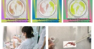 【沖縄×NFT】微生物で描いたNFTアートを数量限定で販売