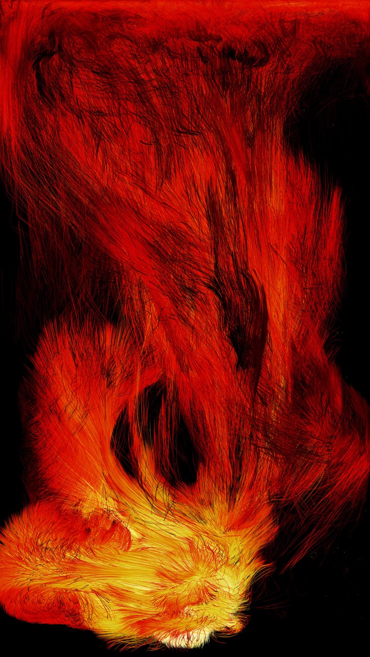 炎は、黒い絶対的な存在によって、形が変化していく。チームラボ《憑依する炎》© チームラボ