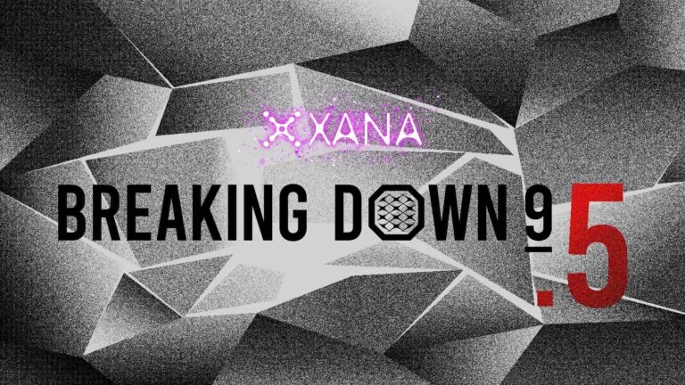 「XANA」がBreakingDown9.5のメインスポンサーに就任！