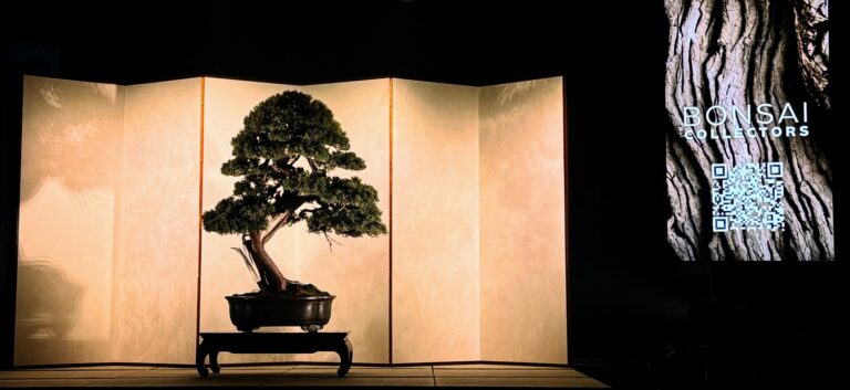 Bonsai Collectors、「国風盆栽展」で伝統と技術の融合を祝う