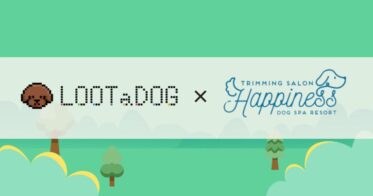 【新規店舗導入】リアル店舗でのゲーミフィケーションや支援サービスを備えた「LOOTaDOG QR」が新たに『Dogsalon Happiness 北神戸店』に導入されたことをお知らせいたします。