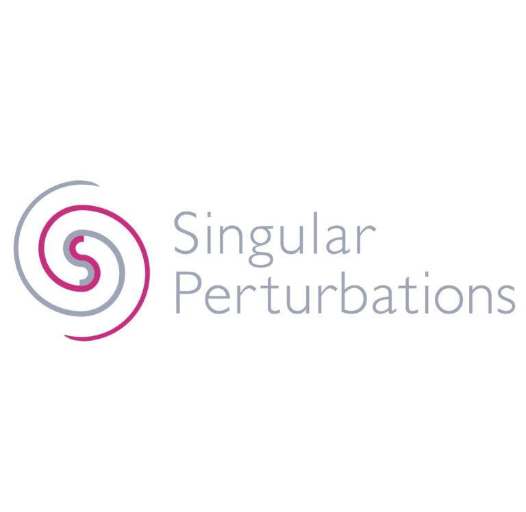 株式会社Singular Perturbations