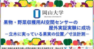 岡山大学、果物・野菜収穫用AIセンサーの実証実験成功