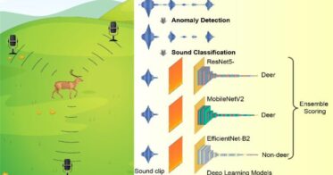 シカの行動分析を革新するAI音声技術の開発成功