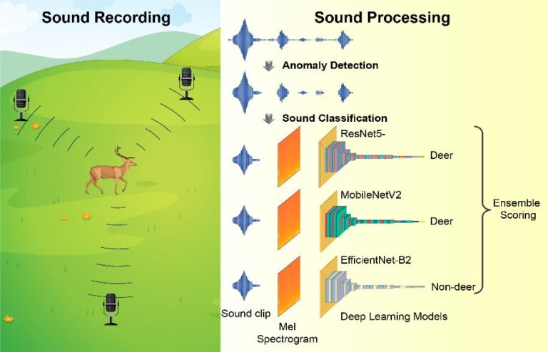 シカの行動分析を革新するAI音声技術の開発成功